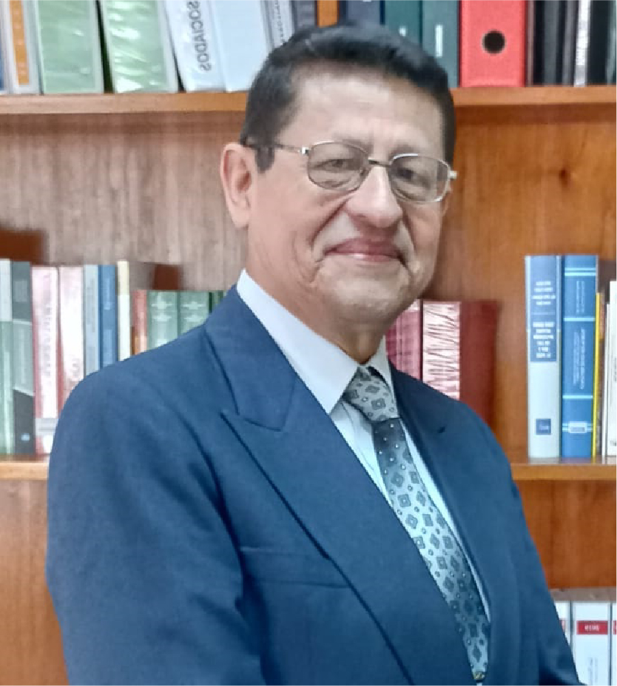 Luis Cerna V.